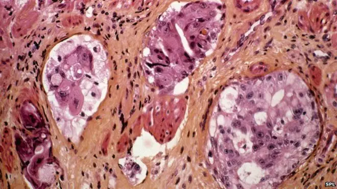 जीनोमिक चिकित्सा, जीन संपादन, नौकरियां, रोज़गार संभावना