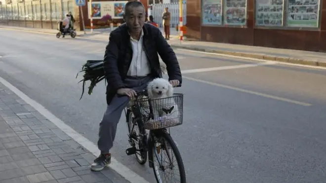 سگ و صاحبش در چین‏