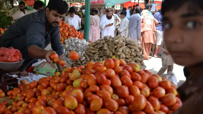 pakistan vegetable market