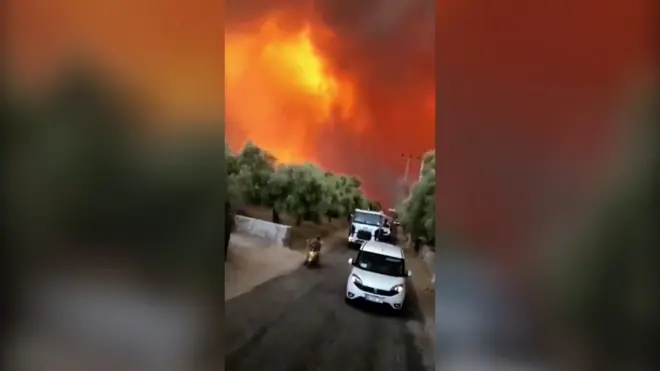 Turkey wildfire