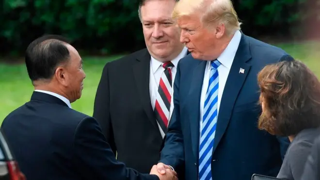 特朗普与朝鲜特使金英哲握手