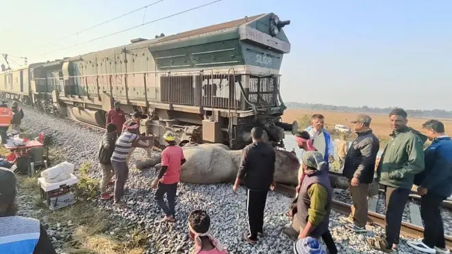 برخورد قطار سریع‌السیر با گله فیل‌ها در ایالت آسام هند