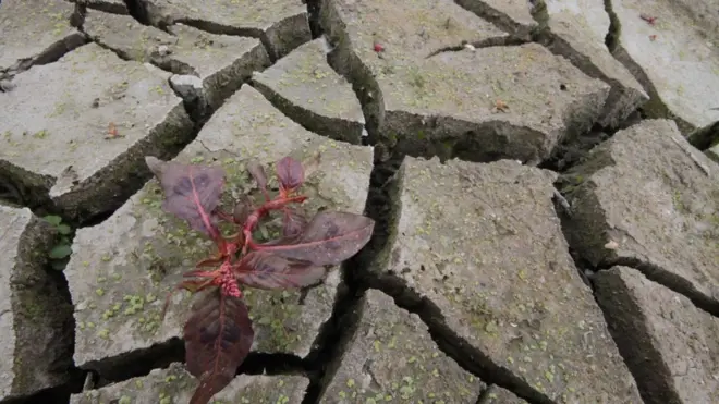Сімферопольське водосховище стрімко втрачає запаси води