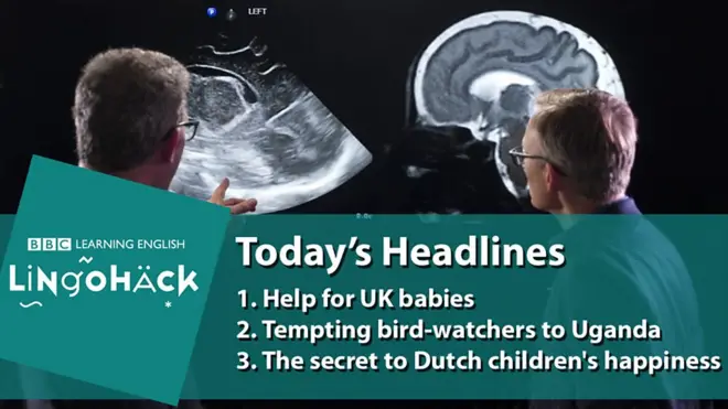 Заголовки тижня