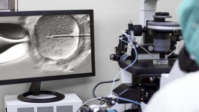 processoesporte da sorte baixar apkfertilização in vitro