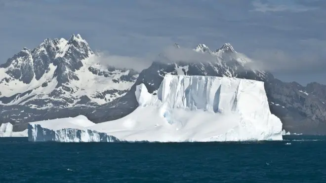 Sisa-sisa gunung es terdampar di South Georgia.