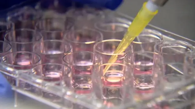 Лаборатория