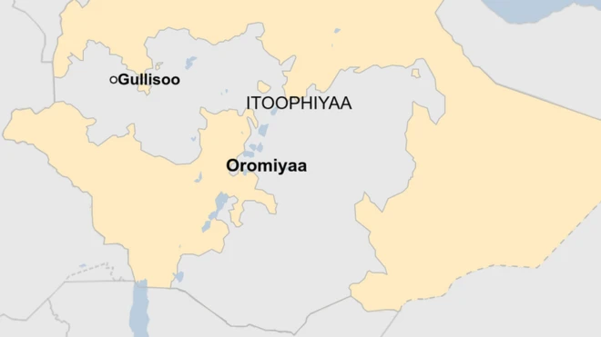 Wallagga Lixaa, Gullisoo