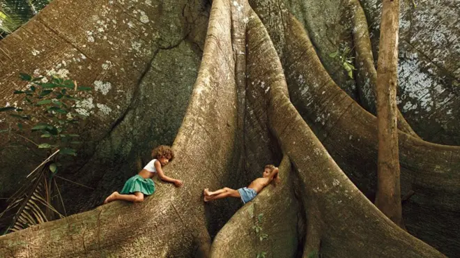 Ribeirinhos do rio Jufari brincam nas raízes da Sumaúma. Amazonas, 2016