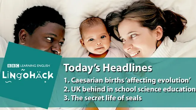 Новий урок англійської мови на основі заголовків із телевізійних новин тижня Lingohack