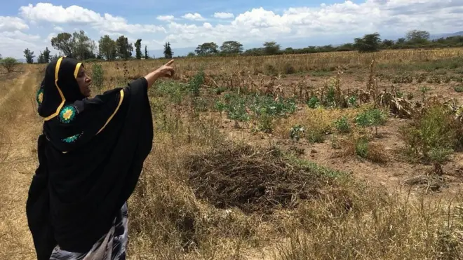 Soomaalida Naivasha