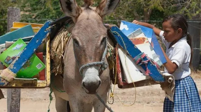 गधे से पढ़ाई