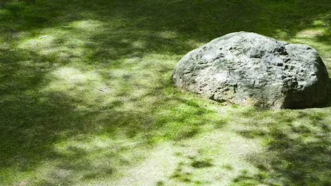 Wabi-sabi là một phần quan trọng của thẩm mỹ học Nhật Bản