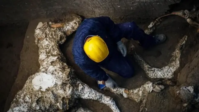 Pompeii'de bulunan taşlaşmış at