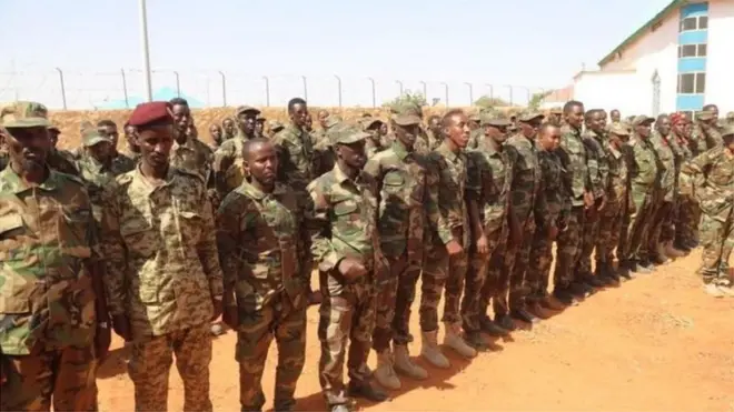 Ciidankii ururka Ahlu Sunnah ayaa dowladda lagu daray sannadkii 2019-kii, balse qeyb ka mid ah ayaa dib uga noqotay.