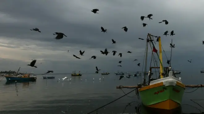 අතුරුදහන් වූ දකුණේ ධීවරයන් ගැන 'සත්‍ය දැන ගැනීමේ අපේක්ෂාවක්'