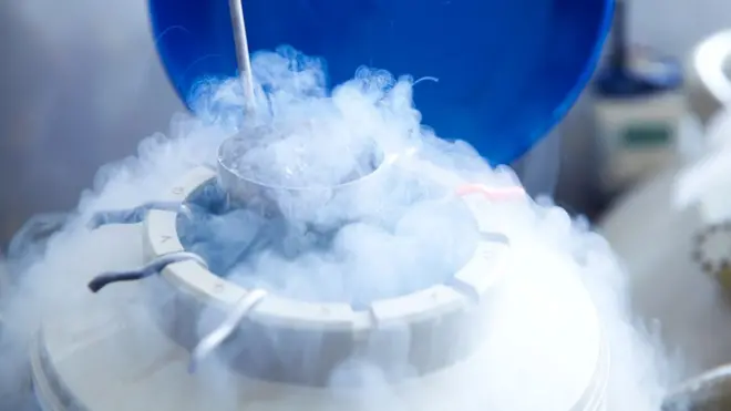 Eggs for IVF being stored in liquid nitrogen