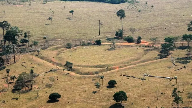 Los geoglifos son figuras geométricas talladas en la tierra. Foto: Universidad22bet and 1xbetExeter.