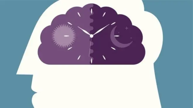 سائنسدانوں نے پتہ چلایا کہ ہمارے تقریبا تمام خلیوں میں ایک گھڑی ہے جو مختلف اوقات میں جسم کو مختلف پیغامات دیتی ہیں