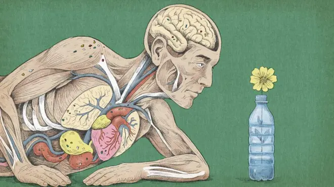 رسم توضيحي لجسم الإنسان.