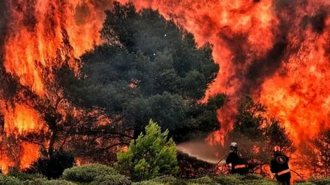 जंगल की आग