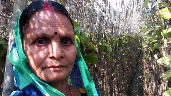 सुनैना देवी