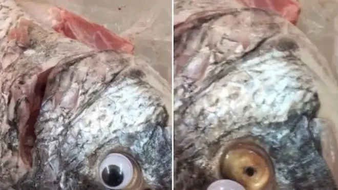 Kalluun indho baliil ah loo xirey