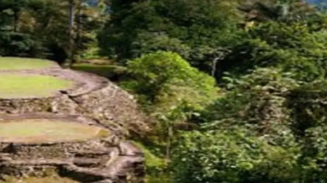 شاهد عینی، عنوان رشته‌برنامه‌ای از بخش جهانی بی‌بی‌سی است که ما هم پنج‌شنبه‌ها آن را در چشم‌انداز بامدادی رادیو بی‌بی‌سی برای شما پخش می‌کنیم.‏