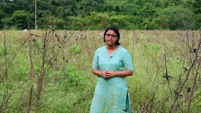 هند کې مالوچ