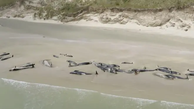 New zealand departmend of conservation