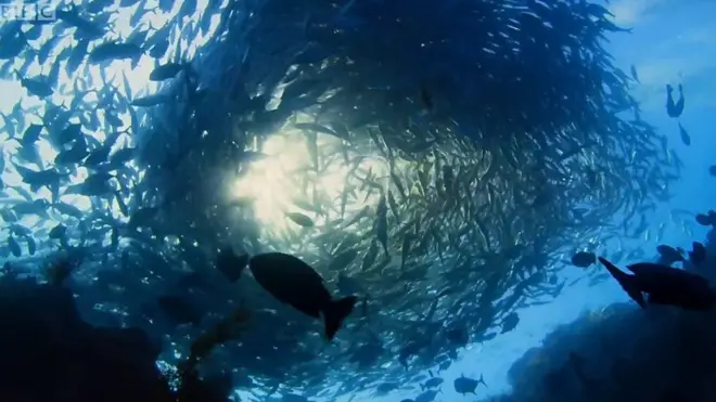 ใต้ทะเล