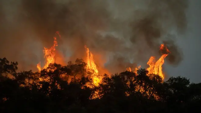 US Presido Donald Trump bin downplay di role wey global warming fit play for di fire wey dey burn for California.