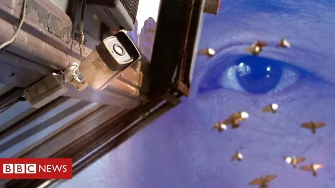 BBC-da ayaa baaritaan ku sameysay Muslimiin la dhibaateeyay