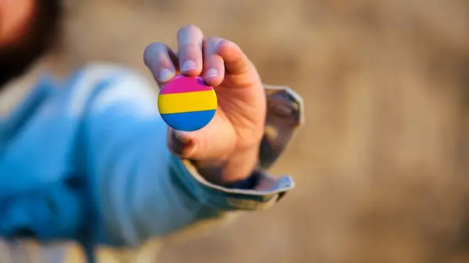 De forma geral, o termo 'pansexual' — representado pelas cores do bottom da imagem — atende ao propósitobetano codigoretirar a importânciabetano codigogênero da equaçãobetano codigoatração