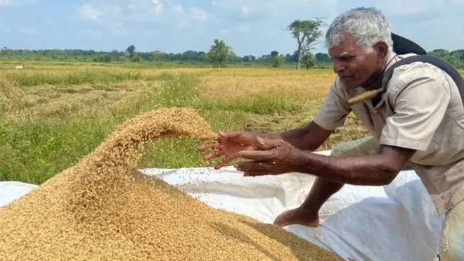 श्रीलङ्कामा किसान