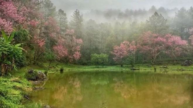 บรรยากาศหน้าหนาวที่คนไทยใฝ่หา