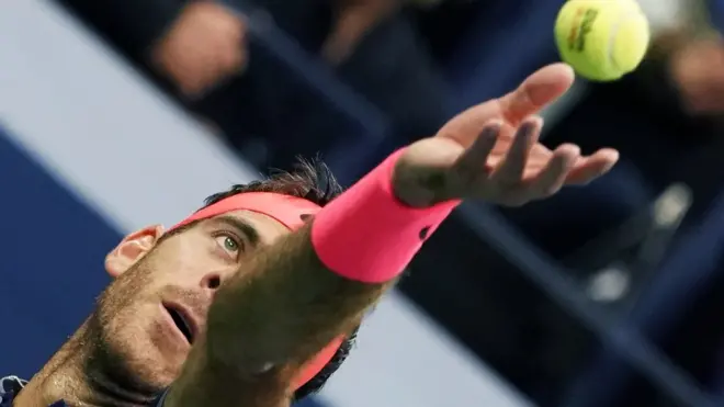 Juan Martín del Potro