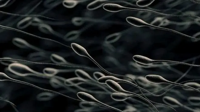 Sperma pria pasien Covid-19 di China ditemukan virus corona.