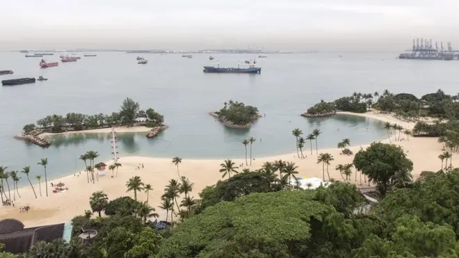 Песчаный пляж с пальмами