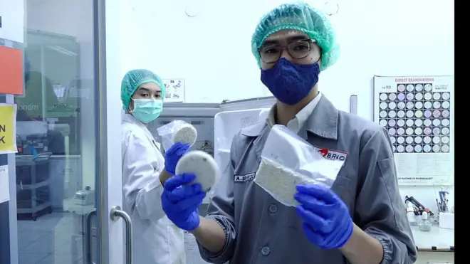 #tempe #indonesia #kuliner