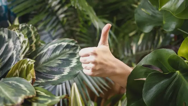 ты прав українською