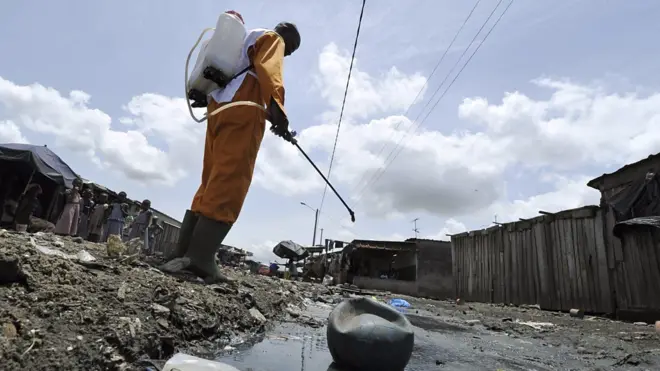 Tanzania: Sweet way to kill mosquito