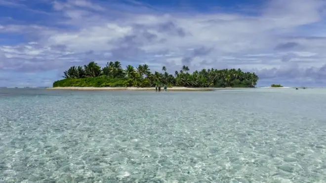 The Palmyra atoll was an uninhabited tropical paradise - until the rats arrived