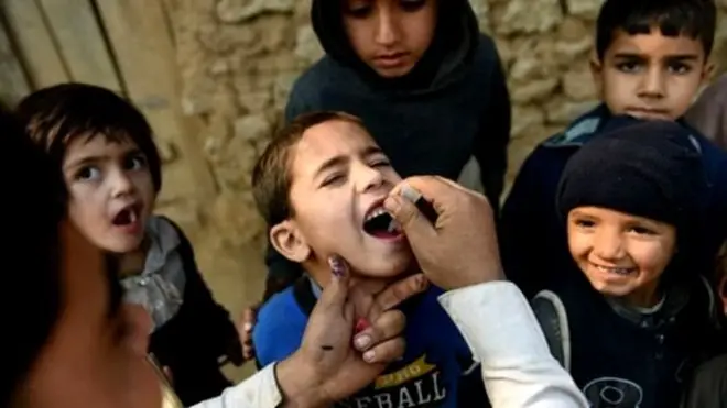 سرکاری ذرائع کے مطابق جن اضلاع کے ماحول میں پولیو کا وائرس موجود ہے ان میں کوئٹہ، پشین اور قلعہ عبد اللہ شامل ہیں۔