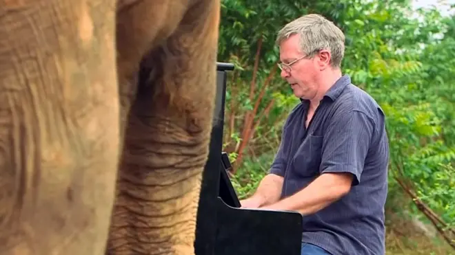 Thai Elephant Music