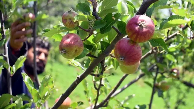 नेपाल गए मज़दूर वापस नहीं आए