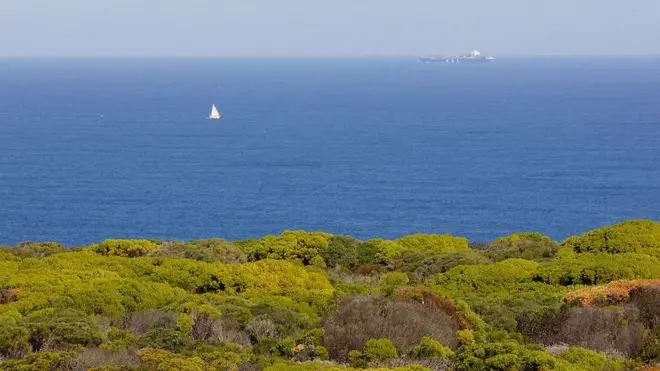 Qarqara galaanaa Afrikaa Kibbaa