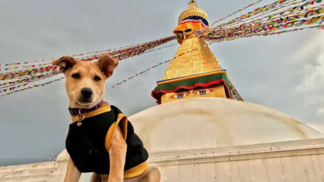 Індійська Попелюшка - Чапаті