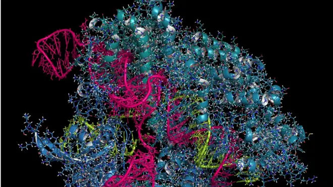 Технологию CRISPR даже осторожные в оценках биологи называют окном в будущее