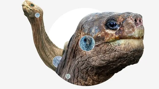 Теории эволюции Дарвина 160 лет